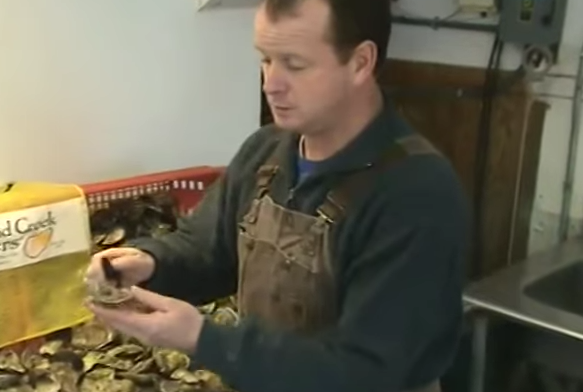 How to Shuck an Oyster